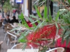 anna1_4 anna1_4